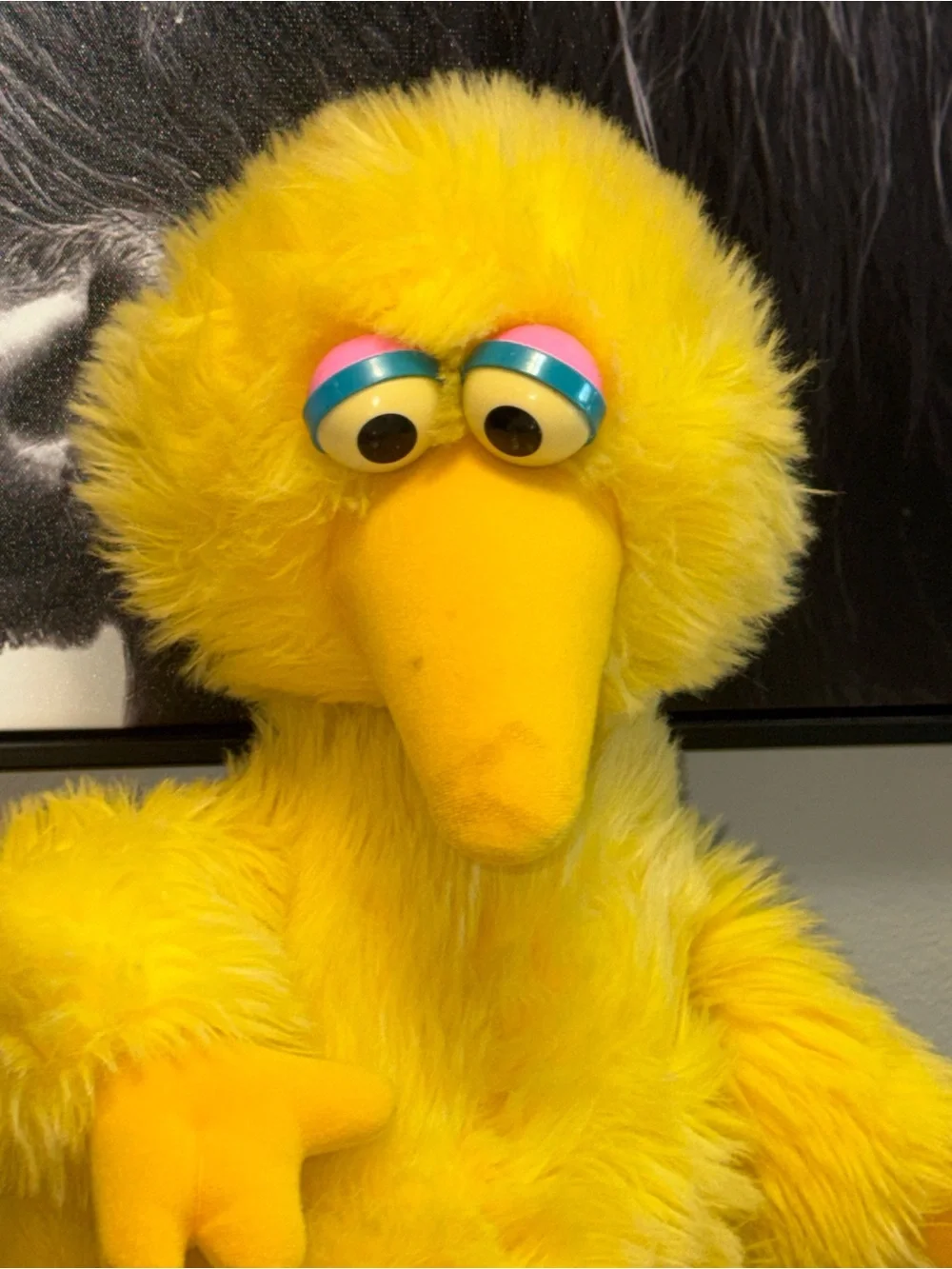 Hasbro sesame street